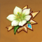 翠绿之影生之花.png
