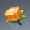 苦种.png