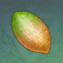 槲梭饵