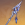 血染荒城.png