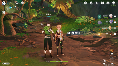 阿米尔位置.png