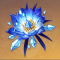 冰风迷途的勇士生之花.png