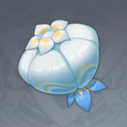 白灵果.png