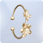 金箔花期图标.png