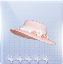 宠物时装·花容悦帽图标.png