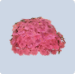家具·嫩叶含芳图标.png