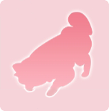 宠物动作·巡视图标.png