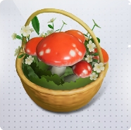 菜谱·菇菇家族图标.png