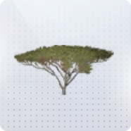 家具·散叶春坪图标.png