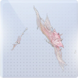 蕊光谒穹图标.png