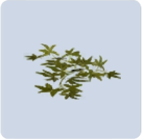 家具·春风渡关图标.png