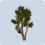 家具·绿野成歌图标.png