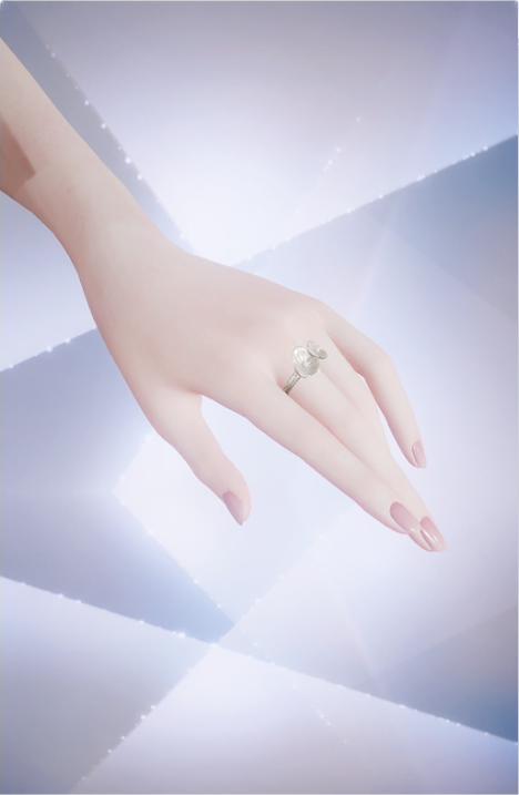 月光花影预览.png