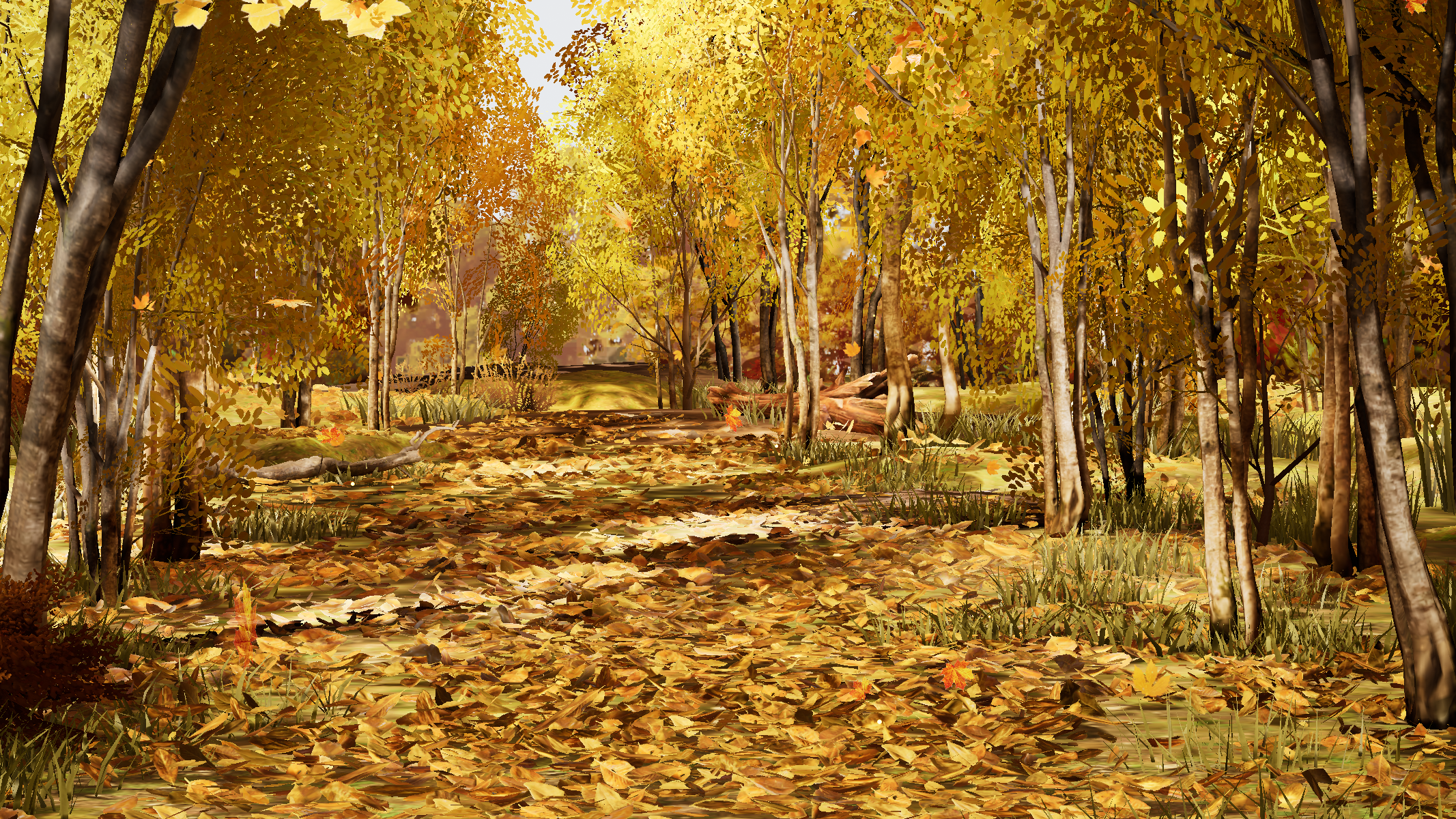 场景·流金之森预览.png