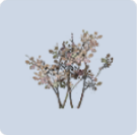 家具·银光千摇图标.png