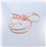 玫瑰晚梦图标.png