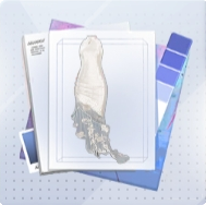 弦月色卡图标.png