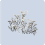 家具·簌簌雪晴图标.png