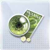 美瞳·幸运草图标.png