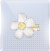 阳光花赏图标.png