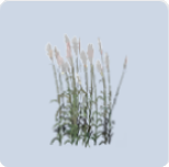 家具·梦引风摇图标.png
