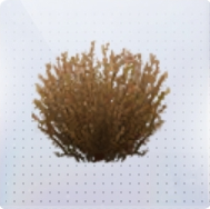 家具·灿金守望图标.png