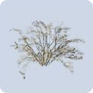 家具·寂野荧光图标.png