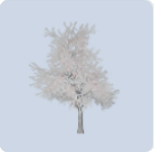家具·雾凇凝花图标.png