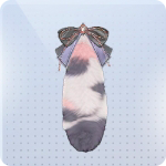绒尾斑斑图标.png