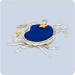 家具·繁星织梦图标.png