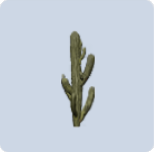 家具·向阳而生-仙人掌图标.png