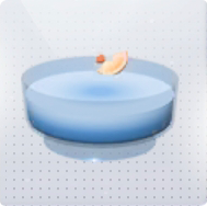 家具·柠檬海盐鸡尾浴缸图标.png