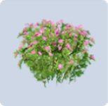 家具·花团锦簇图标.png