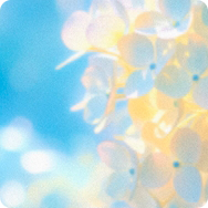 背景·无尽花海图标.png