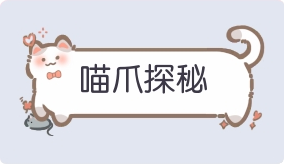 气泡·喵爪探秘预览