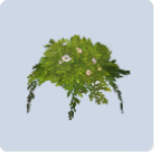 家具·小雏菊之春图标.png