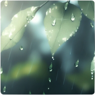 背景·翠叶露滴图标.png