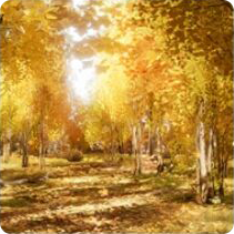 场景·流金之森图标.png