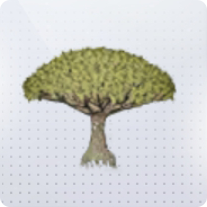 家具·伞盖如荫图标.png