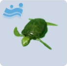 家具·小龟噗噗图标.png