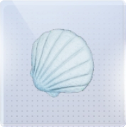 泡沫信使图标.png