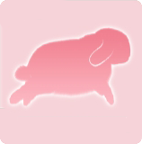宠物动作·扑蝶-造型3图标.png