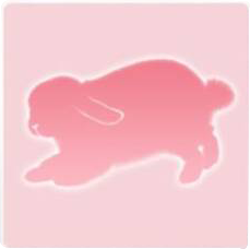 宠物动作·迷糊旋风图标.png