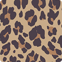 改版·棕色豹纹图标.png