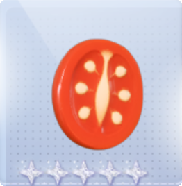 宠物时装·番茄贴贴图标.png
