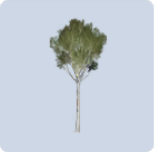 家具·苍翠春色图标.png