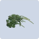 家具·石台藤迹图标.png