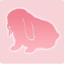 宠物动作·兔兔碰瓷图标.png
