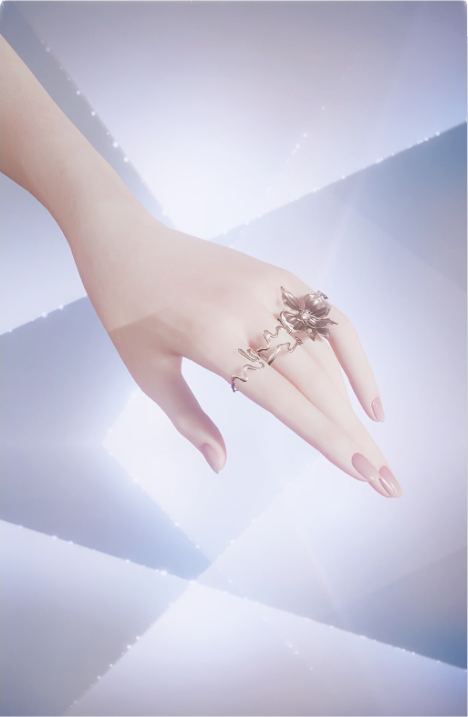 雾隐花踪预览.png