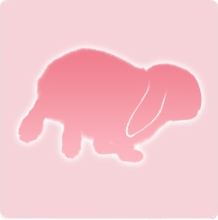 宠物动作·畅玩时刻图标.png